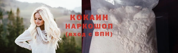 дурь Туринск