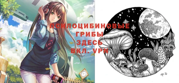 apvp Горно-Алтайск