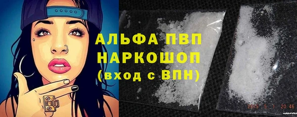 сатива Тихвин