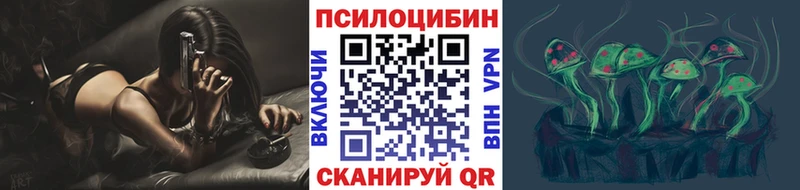 Галлюциногенные грибы Psilocybe  Пересвет 